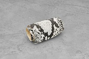 Кожа змей, рыб