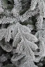 Заснеженная елка "Сибирская" (Литая+пвх) 210 см / 2,1 м