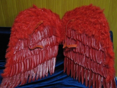 Королевские крылья перьевые красн 80х80