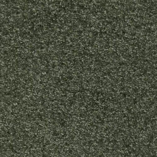 Ковровое покрытие AW Gaia Equator 24