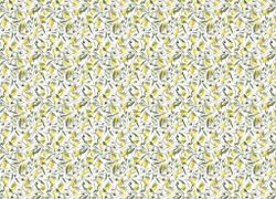 Gloockler Pompoos Provence