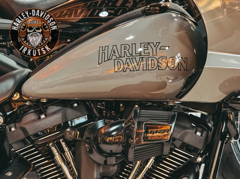 Новый мотоцикл Harley-Davidson® Low Rider® ST