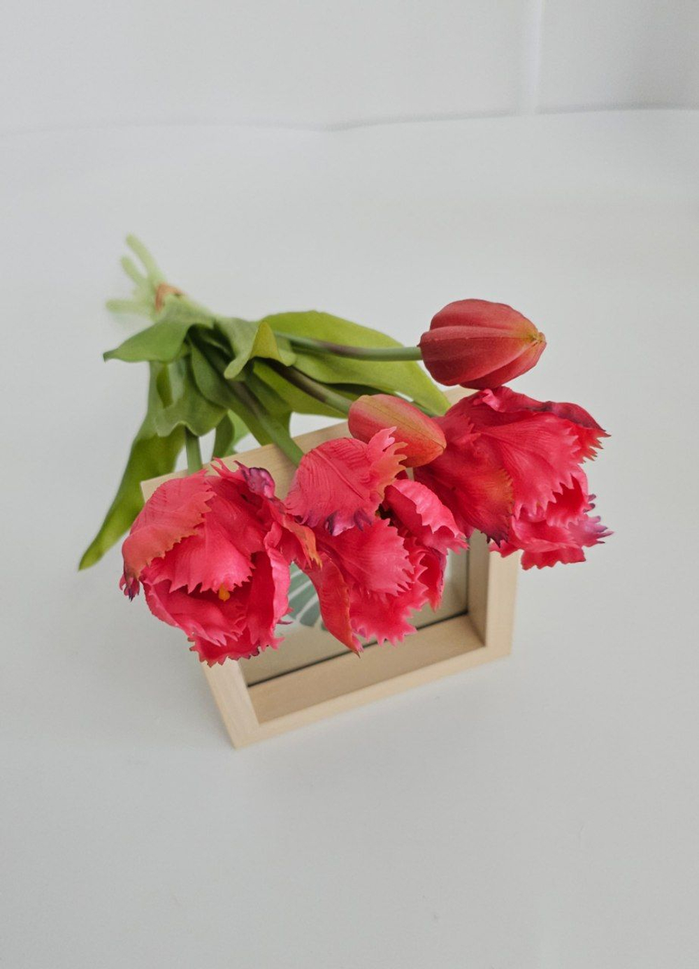 Тюльпаны бахромчатые / Арт 2547