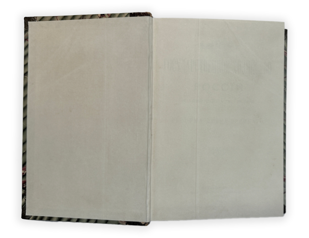 Милюков П. Н. Государственное хозяйство России в первой четверти 18 столетия и рефор Петра Вел.1892