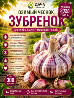 Чеснок озимый Зубренок 300 г, посадочный материал, семенной чеснок, острый сорт, морозостойкий