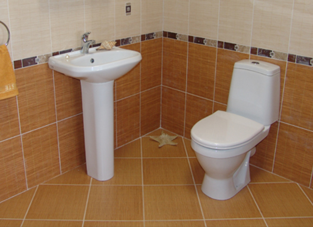 Унитаз-компакт Sanita Лада Эконом  с сидением стандарт