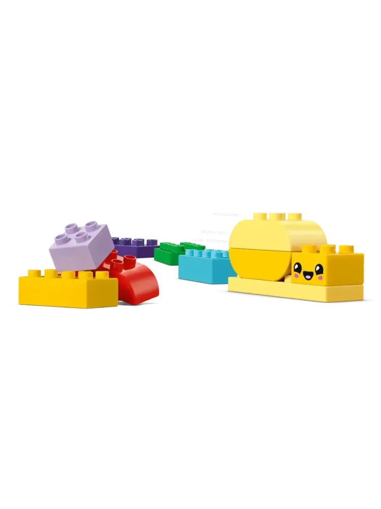 Конструктор DUPLO 10444 Сад с цветами