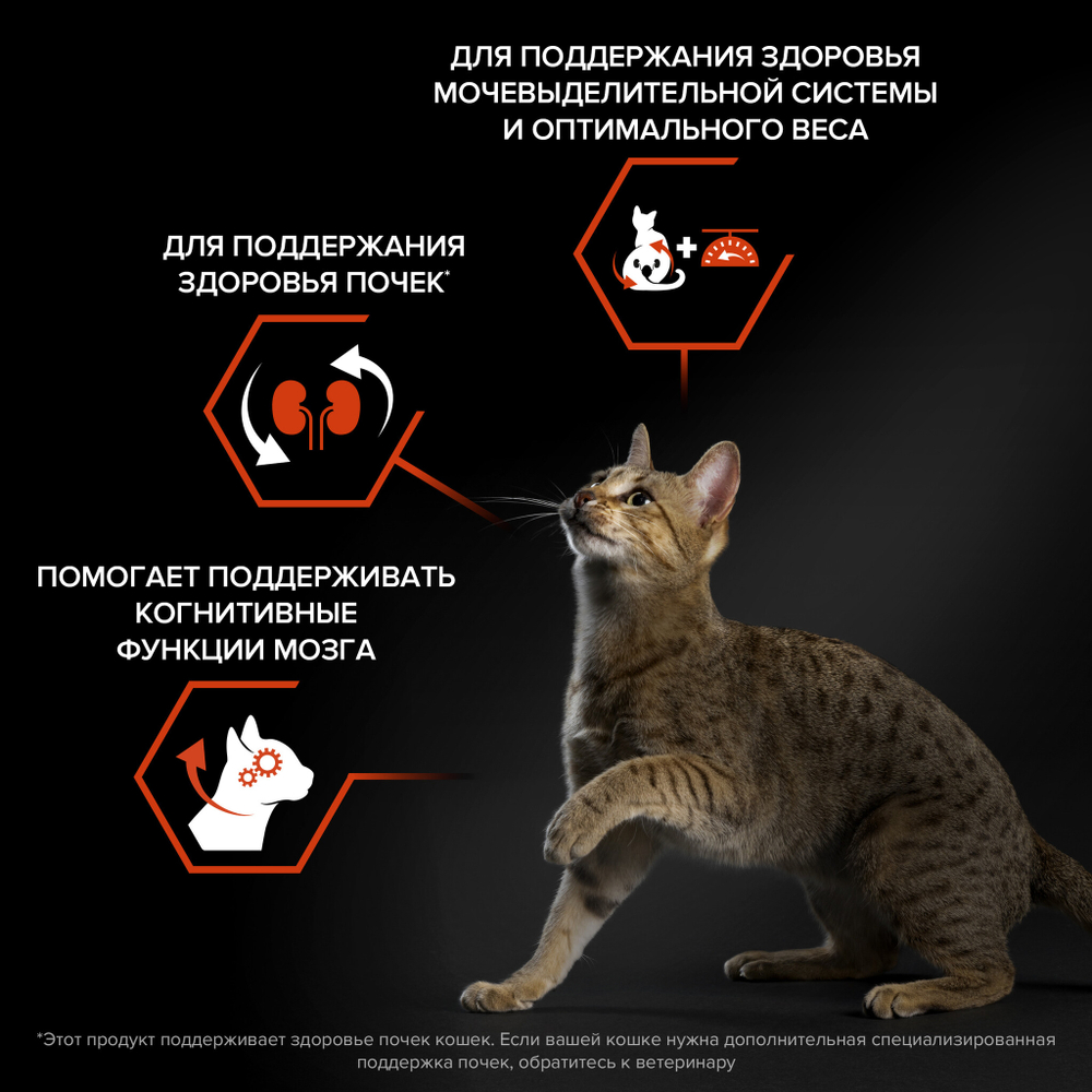 Сухой корм PRO PLAN Sterilised VITAL FUNCTIONS для стерилизованных кошек для поддержания функций почек мозга и иммунитета лосось 1.5 кг