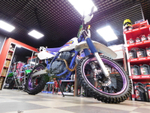 Yamaha TT-R 250 Open Enduro 4GY-004411