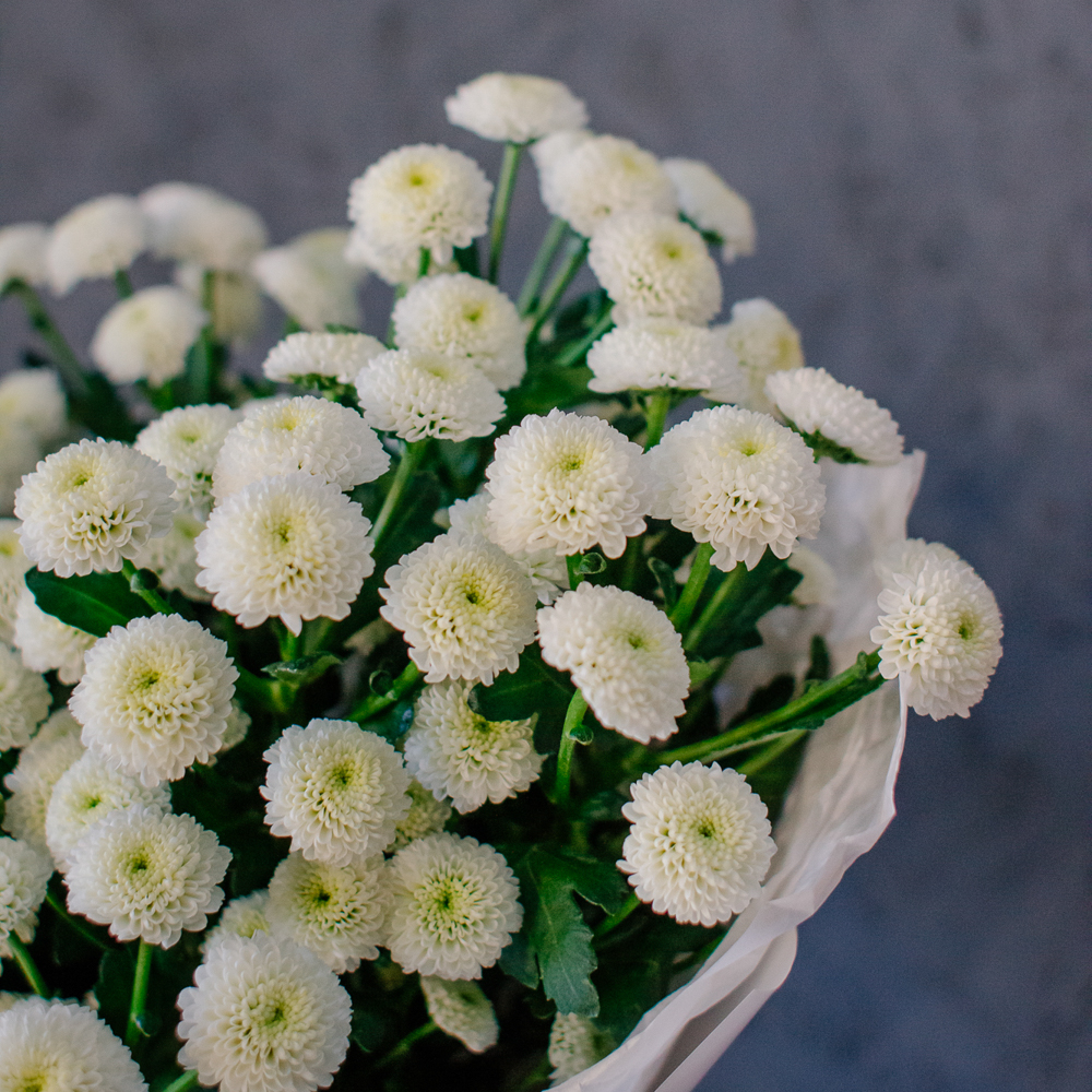 159. Воздушный стойкий моно-букет с хризантемой сантини