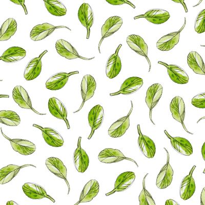 листья на белом