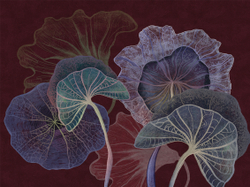 Коллекция SUMMERTIME