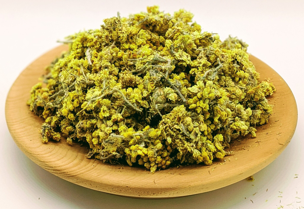 Бессмертник песчаный