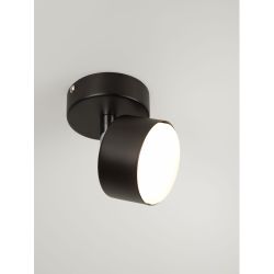 Светильник настенно-потолочный спот Rivoli Alesta 7079-701 1хGX53 15 Вт поворотный | Rivoli