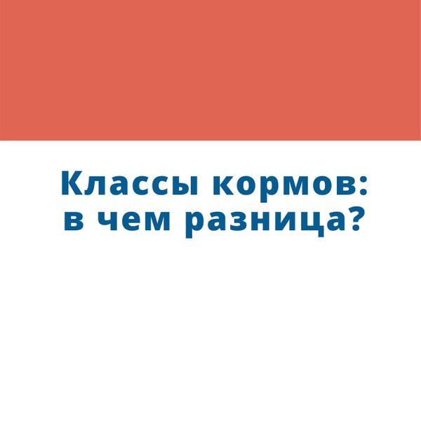 Классы кормов. В чём разница?