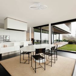 9043 Люстра-вентилятор NEPAL II