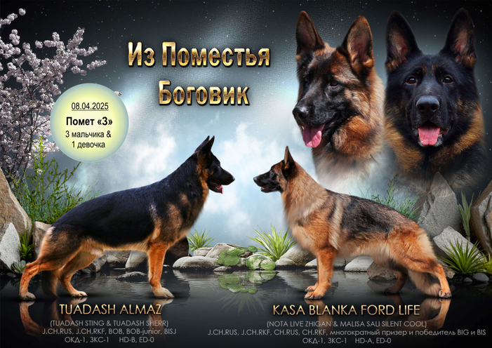 Помет "З"