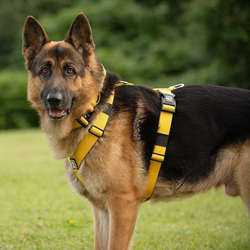 Шлейка TRI BullyBillows