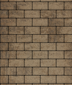 Тротуарная плитка ВЫБОР, форма Прямоугольник 100*200, h=80мм