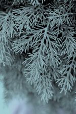 Голубая Туя-шар искусственная (Литая хвоя) 40 см \ 70 см