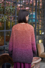 Пряжа Laines du Nord Poema Alpaca (16)