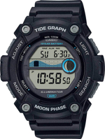 Мужские наручные часы Casio Collection WS-1300H-1A