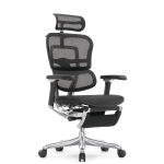 Кресло FALTO Ergohuman Luxury 2 с подножкой ( чёрный каркас /сетка чёрный T-168-B1 Black )