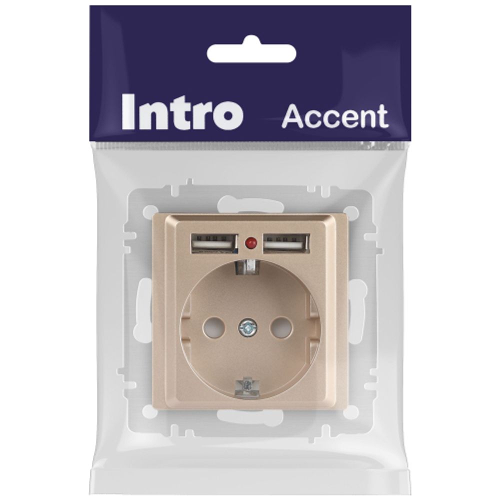 Розетка Intro Accent 6-410-04 с заземлением 2P+E Schuko со шторками 16А-250В + 2хUSB IP20 СУ шампань