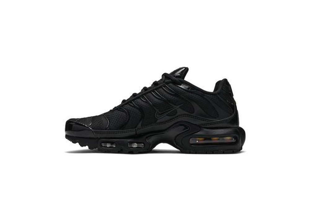 Кроссовки Nike Air Max Plus