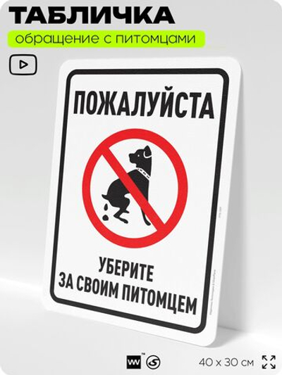 Табличка "Уберите за своим питомцем" на дверь и забор, для двора, дома, подъезда, 40х30 см, Silver Plane x Айдентика Технолоджи