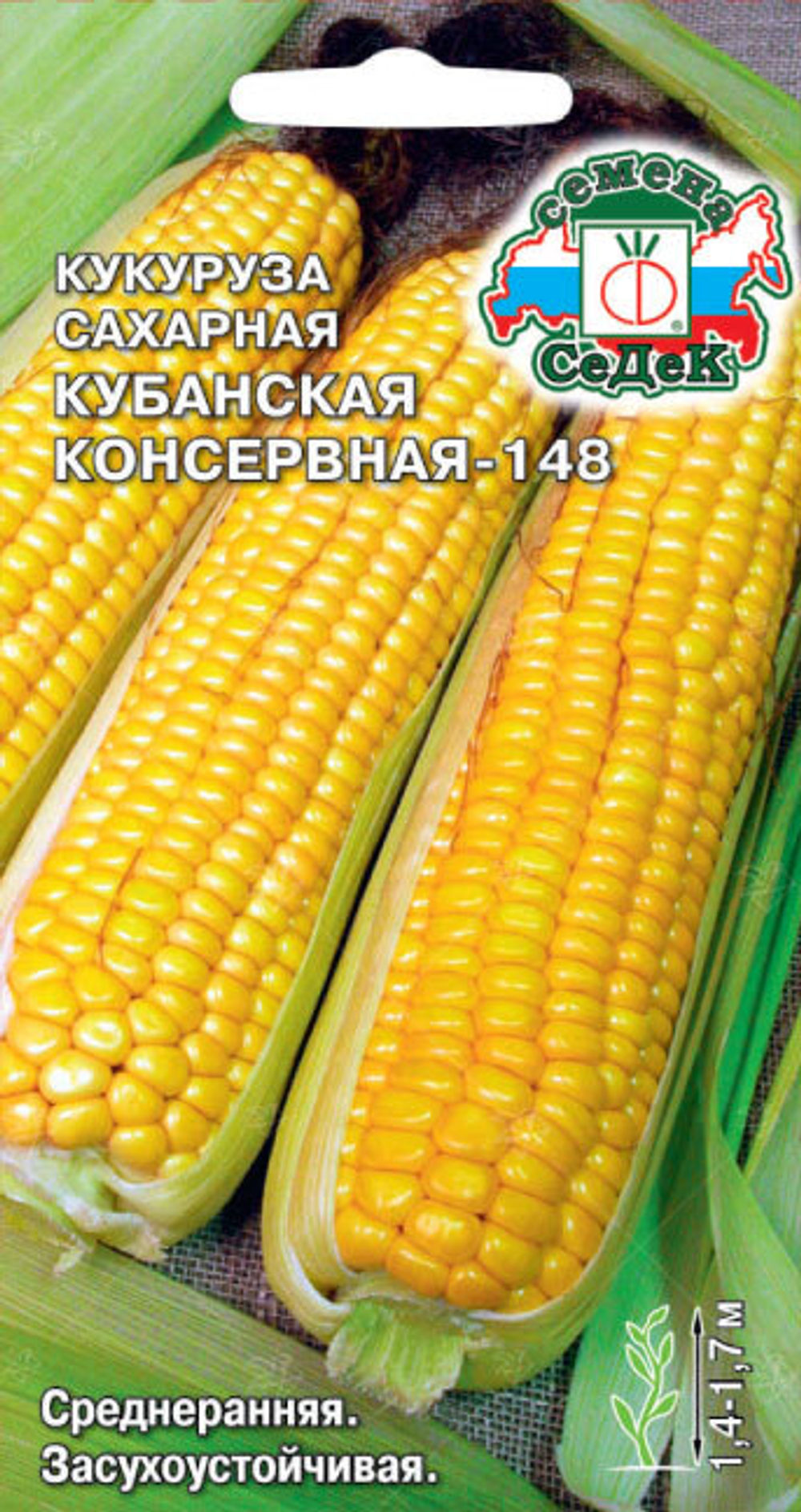 kukuruza_kubanskaya_konservnaya_148_sakharnaya