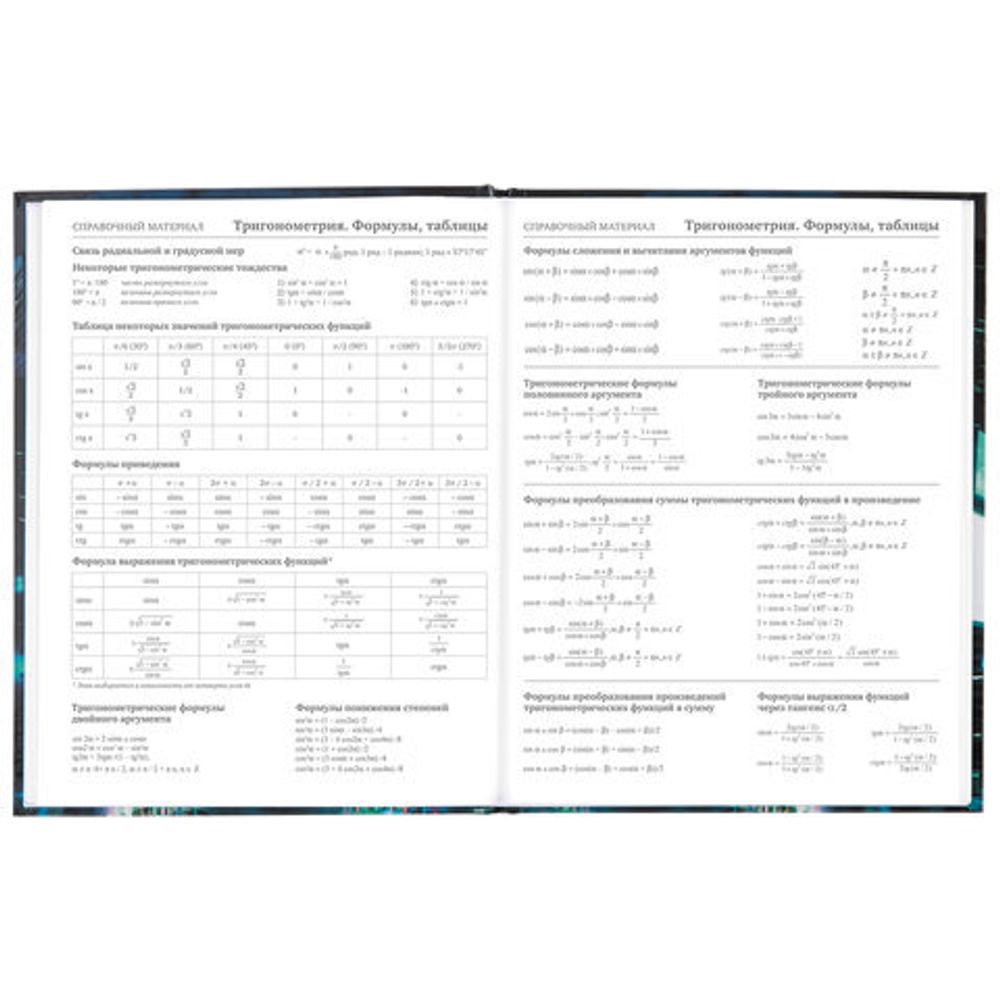 Дневник 5-11 класс 48 л., твердый, BRAUBERG, глянцевая ламинация, с подсказом, "Future", 106406