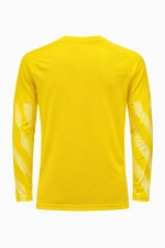 Вратарская кофта Nike Dri-FIT Park V GK Детская - желтый