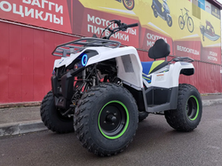 Квадроцикл PROMAX RENEGADE 280 (2025)