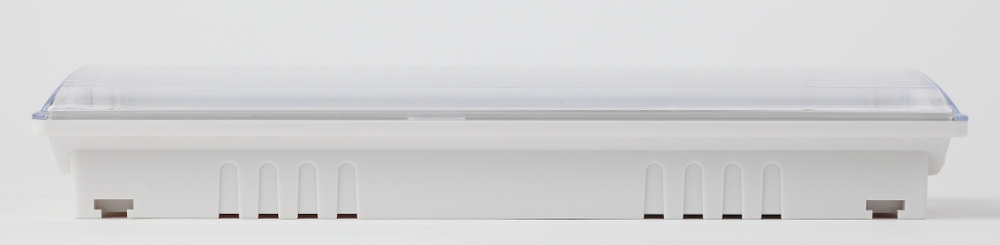 Светильник светодиодный аварийный непостоянный DPA-301-0-6540LED 3ч IP65 NiCD ЭРА Б0044405