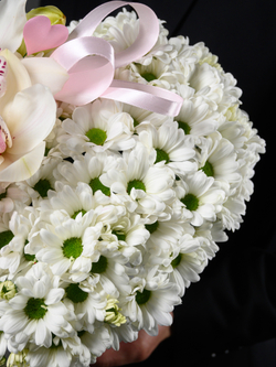 Моя Нежность