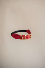 Ошейник "Пони-макарони" Красный