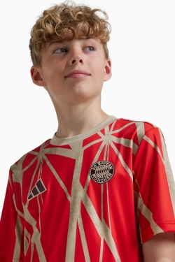 Футболка adidas FC Bayern 24/25 Pre-Match Junior