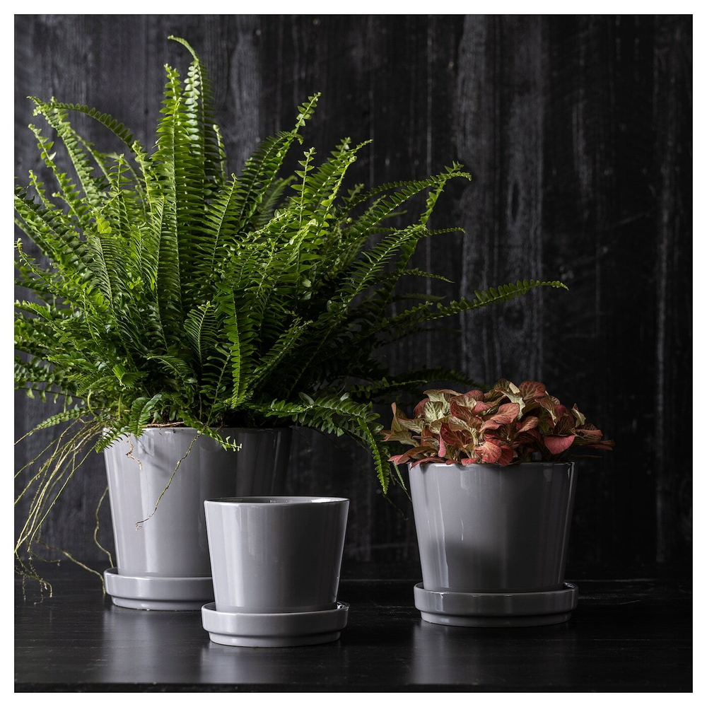 IKEA CITRUSFRUKT  (ИКЕА СИТРУСФРУКТ)  -  Цветочный горшок с подставкой, серый, 12 см