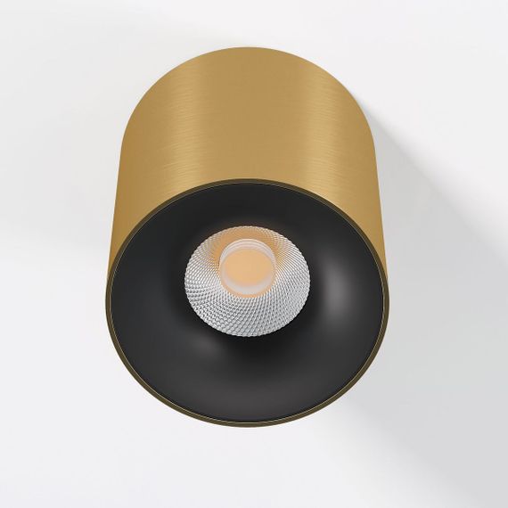 Потолочный светодиодный светильник Elektrostandard Primo 25116/LED a069414