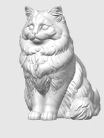 Рэгдолл кошка