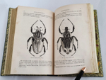 "Жизнь насекомых". Луи Фигье. 1869г. - антикварное издание