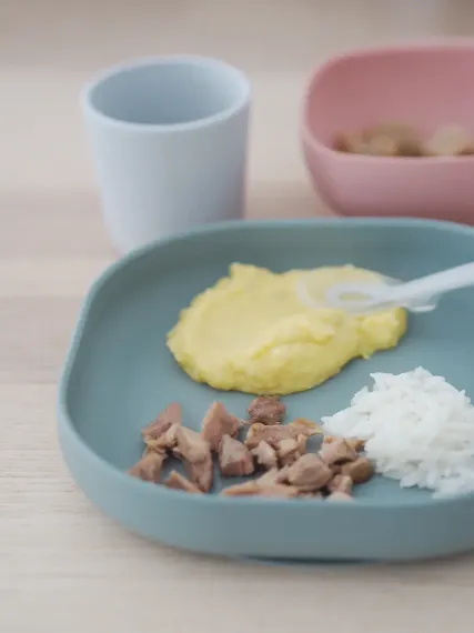 Набор посуды Beaba Coffrey Repas Silicone Euctalyptus