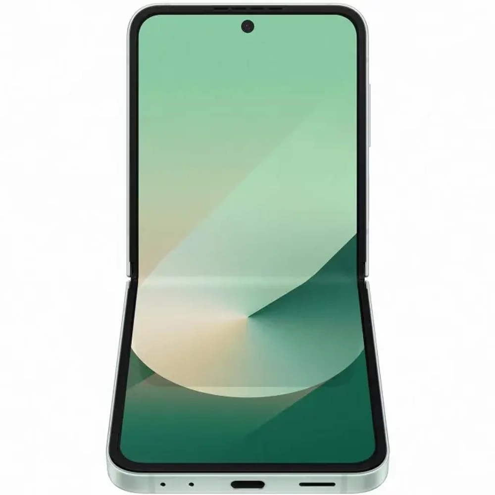 Samsung Galaxy Z Flip6 12/512Gb (Mint)
