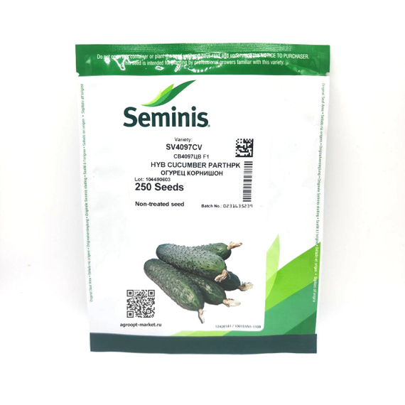 4097 F1 семена огурца партенокарпического (Seminis / Семинис) – фото 19
