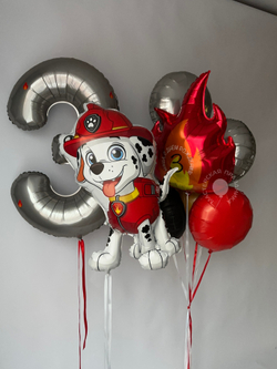 Воздушные шары Щенячий Патруль №8836