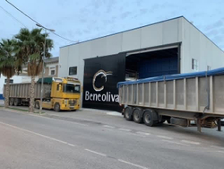 Оливковое масло премиум Arbequina в керамике Extra Virgin 500ml, Испания