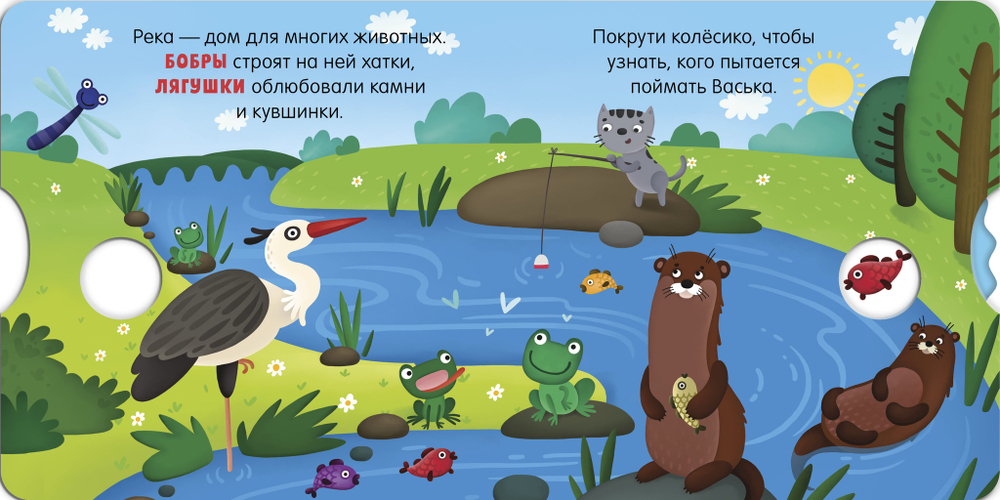 Книжки-картонки. Умные колесики. Животные