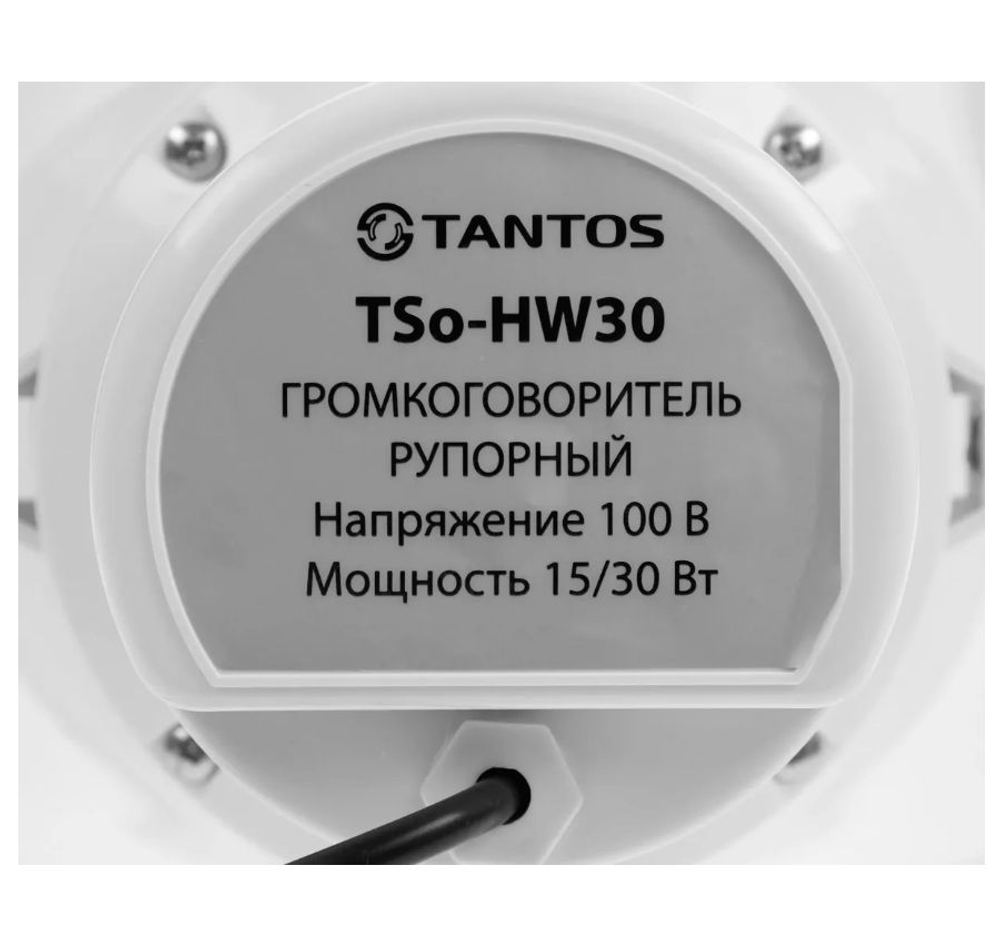 Громкоговоритель TSo-HW30