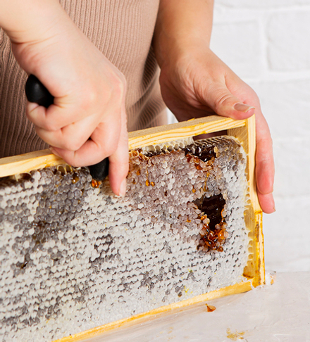 Мед в сотах гречишный рамка (примерно 2кг)